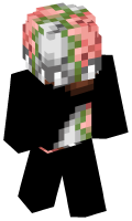 Skinfile