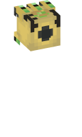 Skinfile