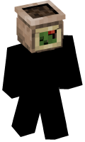 Skinfile