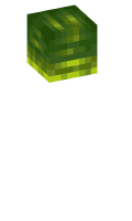 Skinfile