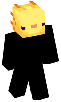 Skinfile