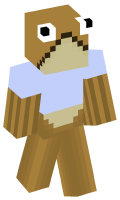 Skinfile