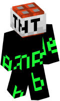 Skinfile