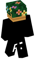 Skinfile