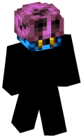 Skinfile