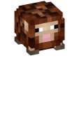 Skinfile