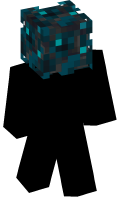 Skinfile