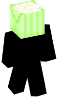 Skinfile
