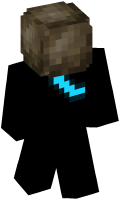 Skinfile