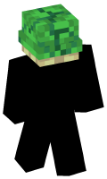 Skinfile