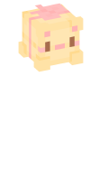 Skinfile