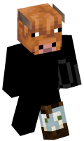 Skinfile