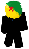 Skinfile