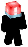 Skinfile