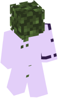 Skinfile