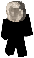 Skinfile