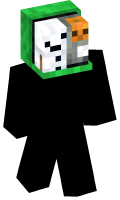 Skinfile