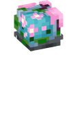 Skinfile