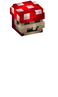 Skinfile