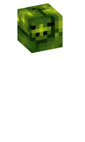 Skinfile