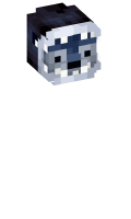 Skinfile
