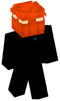 Skinfile