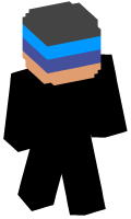 Skinfile