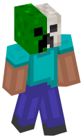 Skinfile