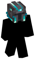 Skinfile