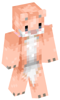 Skinfile
