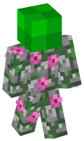 Skinfile
