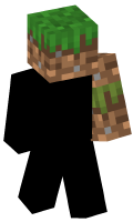 Skinfile