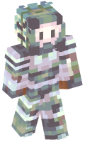 Skinfile