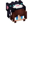 Skinfile