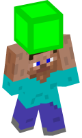 Skinfile
