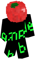 Skinfile
