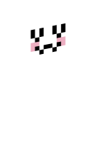 Skinfile