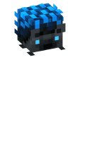 Skinfile