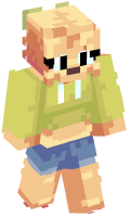 Skinfile