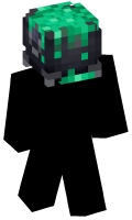 Skinfile