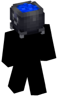 Skinfile