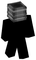 Skinfile