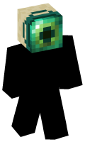 Skinfile