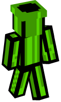 Skinfile