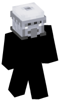Skinfile