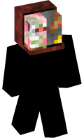 Skinfile