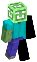 Skinfile