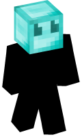 Skinfile