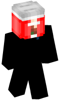Skinfile