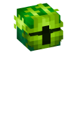Skinfile